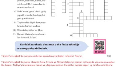 6. Sınıf Evos Yayınları Sosyal Bilgiler Ders Kitabı Sayfa 131 Cevapları