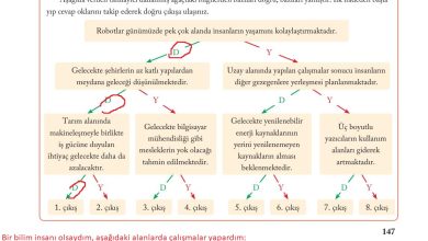 6. Sınıf Evos Yayınları Sosyal Bilgiler Ders Kitabı Sayfa 147 Cevapları