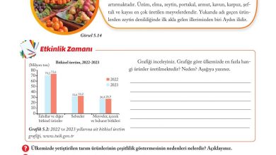 6. Sınıf Evos Yayınları Sosyal Bilgiler Ders Kitabı Sayfa 164 Cevapları