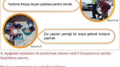 6. Sınıf Evos Yayınları Sosyal Bilgiler Ders Kitabı Sayfa 18 Cevapları