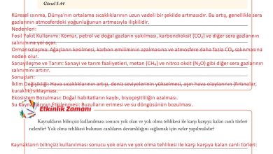 6. Sınıf Evos Yayınları Sosyal Bilgiler Ders Kitabı Sayfa 182 Cevapları