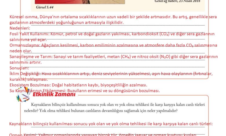 6. Sınıf Evos Yayınları Sosyal Bilgiler Ders Kitabı Sayfa 182 Cevapları