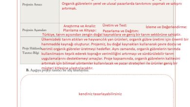 6. Sınıf Evos Yayınları Sosyal Bilgiler Ders Kitabı Sayfa 186 Cevapları