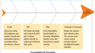 6. Sınıf Evos Yayınları Sosyal Bilgiler Ders Kitabı Sayfa 19 Cevapları