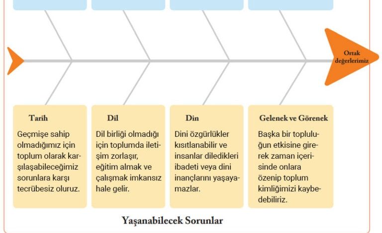 6. Sınıf Evos Yayınları Sosyal Bilgiler Ders Kitabı Sayfa 19 Cevapları