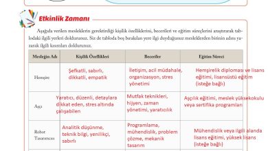 6. Sınıf Evos Yayınları Sosyal Bilgiler Ders Kitabı Sayfa 197 Cevapları