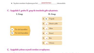 6. Sınıf Evos Yayınları Sosyal Bilgiler Ders Kitabı Sayfa 200 Cevapları