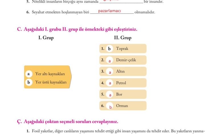 6. Sınıf Evos Yayınları Sosyal Bilgiler Ders Kitabı Sayfa 200 Cevapları