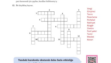 6. Sınıf Evos Yayınları Sosyal Bilgiler Ders Kitabı Sayfa 203 Cevapları