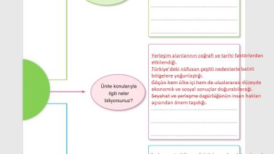 7. Sınıf Yıldırım Yayınları Sosyal Bilgiler Ders Kitabı Sayfa 113 Cevapları