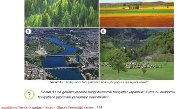 7. Sınıf Yıldırım Yayınları Sosyal Bilgiler Ders Kitabı Sayfa 114 Cevapları