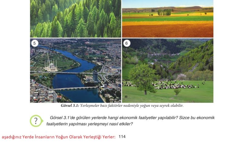 7. Sınıf Yıldırım Yayınları Sosyal Bilgiler Ders Kitabı Sayfa 114 Cevapları