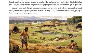 7. Sınıf Yıldırım Yayınları Sosyal Bilgiler Ders Kitabı Sayfa 115 Cevapları