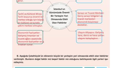 7. Sınıf Yıldırım Yayınları Sosyal Bilgiler Ders Kitabı Sayfa 119 Cevapları