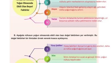 7. Sınıf Yıldırım Yayınları Sosyal Bilgiler Ders Kitabı Sayfa 125 Cevapları