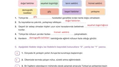 7. Sınıf Yıldırım Yayınları Sosyal Bilgiler Ders Kitabı Sayfa 144 Cevapları