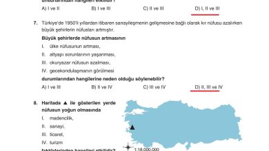 7. Sınıf Yıldırım Yayınları Sosyal Bilgiler Ders Kitabı Sayfa 146 Cevapları