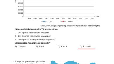 7. Sınıf Yıldırım Yayınları Sosyal Bilgiler Ders Kitabı Sayfa 147 Cevapları