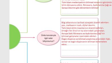 7. Sınıf Yıldırım Yayınları Sosyal Bilgiler Ders Kitabı Sayfa 151 Cevapları