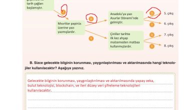 7. Sınıf Yıldırım Yayınları Sosyal Bilgiler Ders Kitabı Sayfa 156 Cevapları