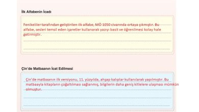 7. Sınıf Yıldırım Yayınları Sosyal Bilgiler Ders Kitabı Sayfa 157 Cevapları