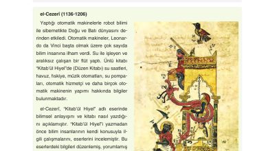 7. Sınıf Yıldırım Yayınları Sosyal Bilgiler Ders Kitabı Sayfa 160 Cevapları