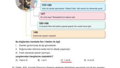 7. Sınıf Yıldırım Yayınları Sosyal Bilgiler Ders Kitabı Sayfa 179 Cevapları