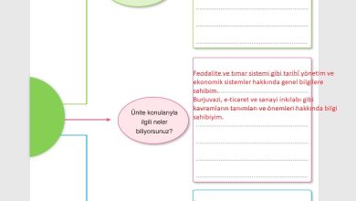 7. Sınıf Yıldırım Yayınları Sosyal Bilgiler Ders Kitabı Sayfa 183 Cevapları