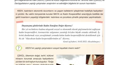 7. Sınıf Yıldırım Yayınları Sosyal Bilgiler Ders Kitabı Sayfa 196 Cevapları