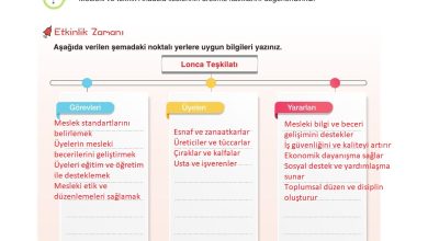 7. Sınıf Yıldırım Yayınları Sosyal Bilgiler Ders Kitabı Sayfa 201 Cevapları