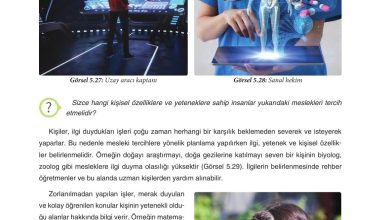 7. Sınıf Yıldırım Yayınları Sosyal Bilgiler Ders Kitabı Sayfa 203 Cevapları