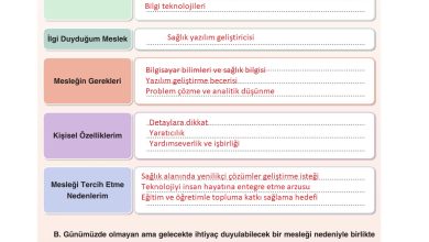 7. Sınıf Yıldırım Yayınları Sosyal Bilgiler Ders Kitabı Sayfa 205 Cevapları