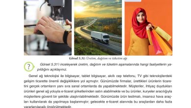 7. Sınıf Yıldırım Yayınları Sosyal Bilgiler Ders Kitabı Sayfa 206 Cevapları