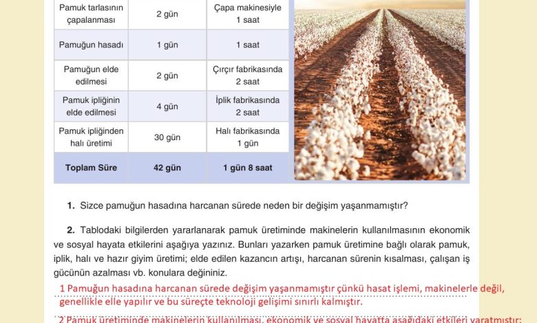 7. Sınıf Yıldırım Yayınları Sosyal Bilgiler Ders Kitabı Sayfa 209 Cevapları