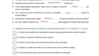 7. Sınıf Yıldırım Yayınları Sosyal Bilgiler Ders Kitabı Sayfa 210 Cevapları