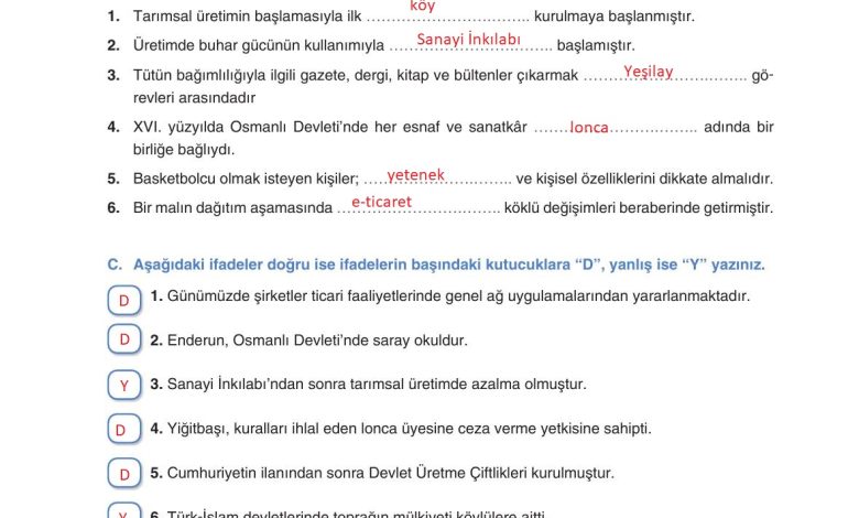 7. Sınıf Yıldırım Yayınları Sosyal Bilgiler Ders Kitabı Sayfa 210 Cevapları