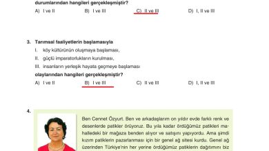 7. Sınıf Yıldırım Yayınları Sosyal Bilgiler Ders Kitabı Sayfa 211 Cevapları