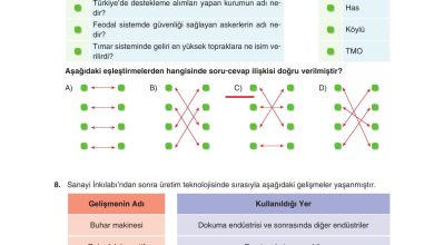 7. Sınıf Yıldırım Yayınları Sosyal Bilgiler Ders Kitabı Sayfa 212 Cevapları