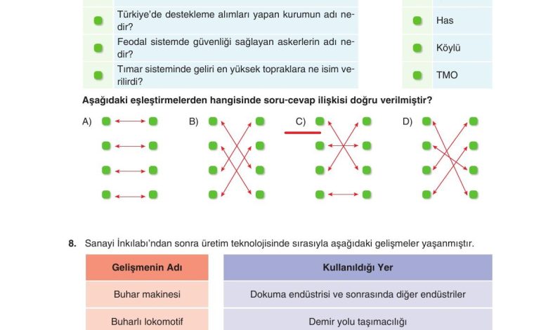 7. Sınıf Yıldırım Yayınları Sosyal Bilgiler Ders Kitabı Sayfa 212 Cevapları