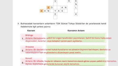 7. Sınıf Yıldırım Yayınları Sosyal Bilgiler Ders Kitabı Sayfa 216 Cevapları