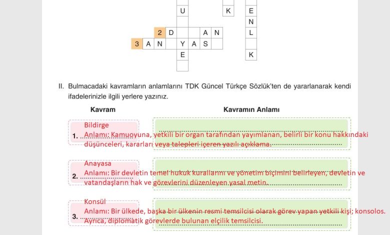 7. Sınıf Yıldırım Yayınları Sosyal Bilgiler Ders Kitabı Sayfa 216 Cevapları