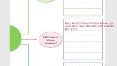 7. Sınıf Yıldırım Yayınları Sosyal Bilgiler Ders Kitabı Sayfa 217 Cevapları