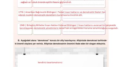 7. Sınıf Yıldırım Yayınları Sosyal Bilgiler Ders Kitabı Sayfa 222 Cevapları