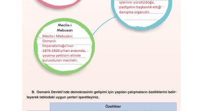 7. Sınıf Yıldırım Yayınları Sosyal Bilgiler Ders Kitabı Sayfa 226 Cevapları