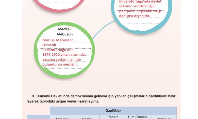 7. Sınıf Yıldırım Yayınları Sosyal Bilgiler Ders Kitabı Sayfa 226 Cevapları