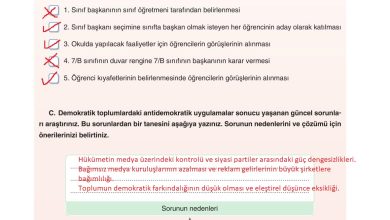 7. Sınıf Yıldırım Yayınları Sosyal Bilgiler Ders Kitabı Sayfa 237 Cevapları