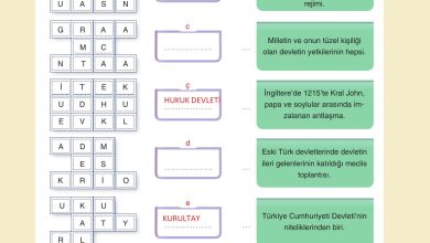 7. Sınıf Yıldırım Yayınları Sosyal Bilgiler Ders Kitabı Sayfa 239 Cevapları