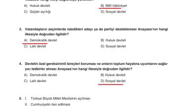 7. Sınıf Yıldırım Yayınları Sosyal Bilgiler Ders Kitabı Sayfa 241 Cevapları