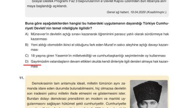 7. Sınıf Yıldırım Yayınları Sosyal Bilgiler Ders Kitabı Sayfa 243 Cevapları