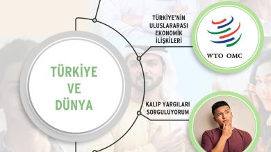 7. Sınıf Yıldırım Yayınları Sosyal Bilgiler Ders Kitabı Sayfa 244 Cevapları